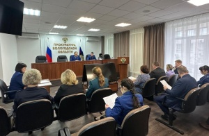 Председатель КСП Вологодской области Ирина Карнакова приняла участие в заседании межведомственной рабочей группы по противодействию коррупции