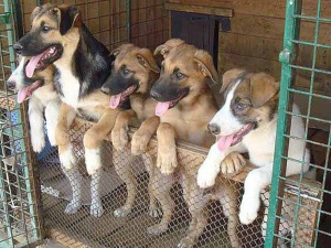 Информация о принятых мерах по результатам проведенного Контрольно-счетной палатой Вологодской области контрольного мероприятия